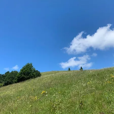 Rifugio Pelizzo